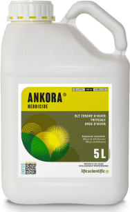 ANKORA