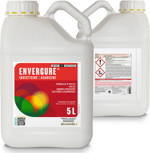 ENVERGURE