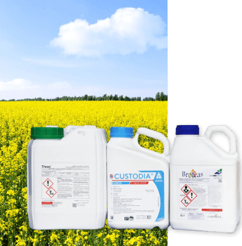 PROTECTION TRESO 2 PASSAGES