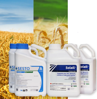 SOLEIL  + SESTO