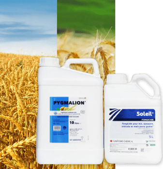 SOLEIL + PYGMALION