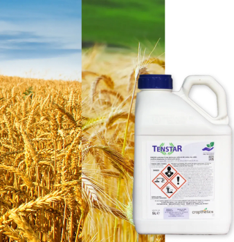 TENSTAR