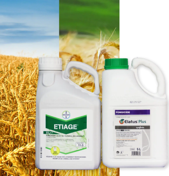 ELATUS PLUS + ETIAGE