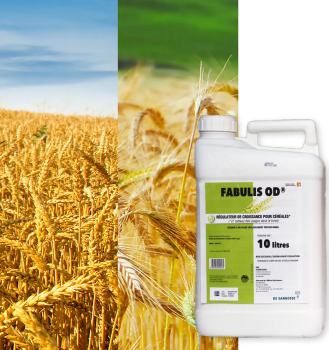 FABULIS OD