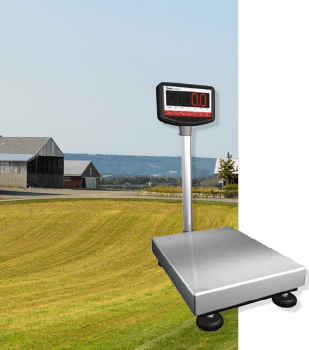 Balance électronique - 60kg