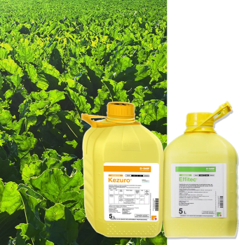 EFFITEC + KEZURO