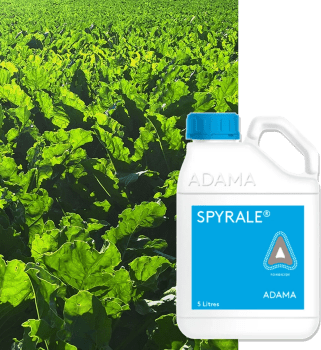 SPYRALE