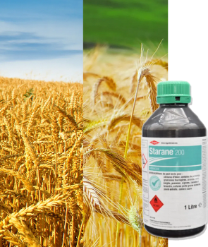 STARANE 200