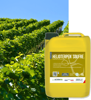 HELIOTERPEN SOUFRE