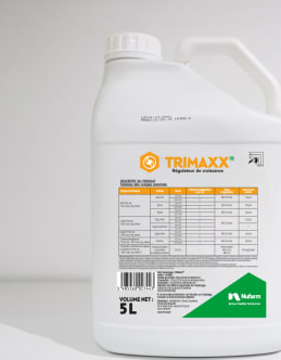 TRIMAXX