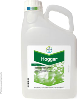 HOGGAR
