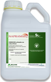 NAPRAMID 450