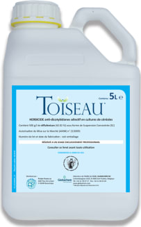 TOISEAU