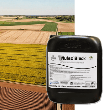 NUTEX BLACK