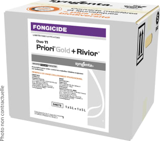 DUO 11 PRIORI GOLD RIVIOR