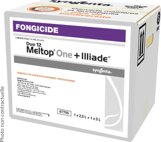 DUO 12 MELTOP ONE ILLIADE