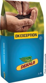 DK EXCEPTION