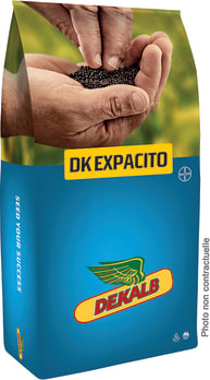 DK EXPACITO