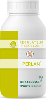PERLAN