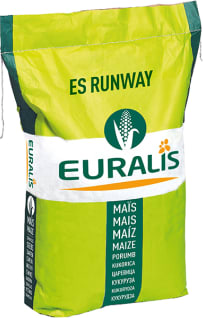 ES RUNWAY