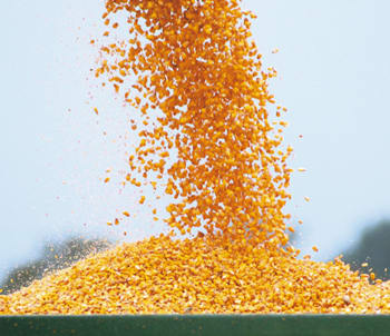 CORASANO