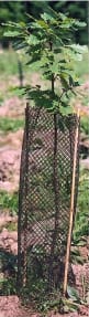 Manchon Protectnet vert 40gr (maille 8x8)