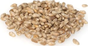 RGT ELEAC BIO