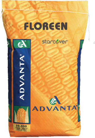 FLOREEN