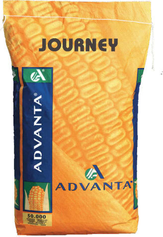 JOURNEY