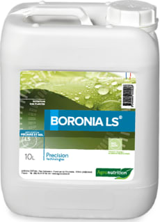 BORONIA LS