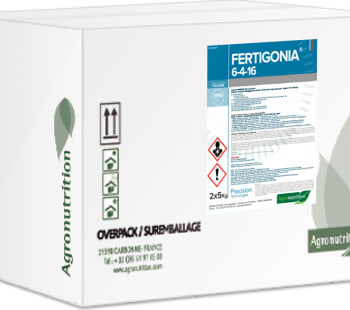 FERTIGONIA P6.4.16