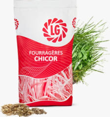 CHICOR