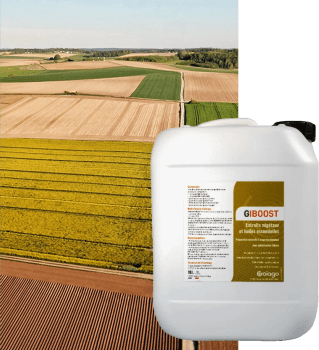 GIBOOST