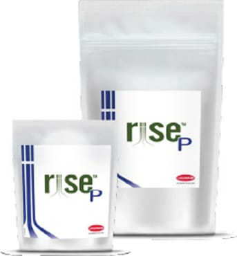 RISE P
