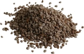 KORN KALI
