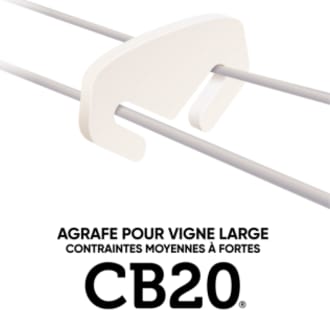 AGRAFE CB 20