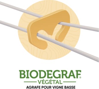 AGRAFE BIODEGRAF VEGETAL