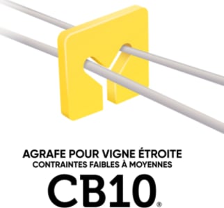 AGRAFE CB 10