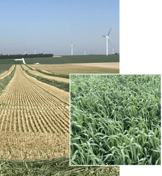 MÉLANGE SOUFFLET MÉTHANISATION