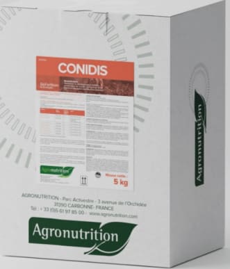 CONIDIS