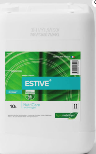 ESTIVE