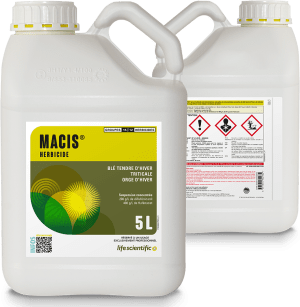 MACIS