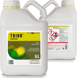 TRIUR