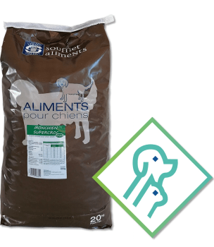 Mon Chien SuperCroc 27/12