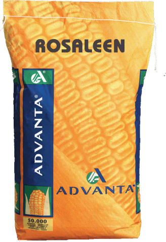 ROSALEEN