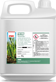 BEFLEX