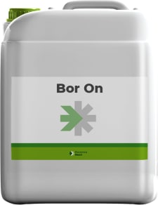 BOR ON