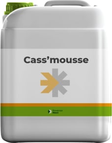 CASS'MOUSSE