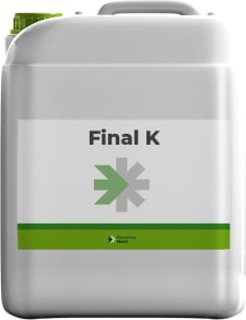 FINAL K
