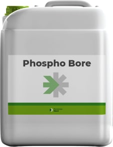 PHOSPHO BORE